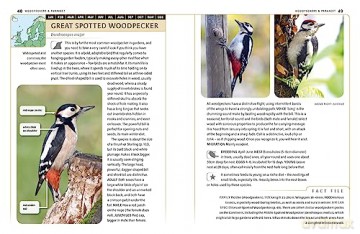 Garden Birds Of Britain Nw Europe - Dominic Couzens [KSIĄŻKA]