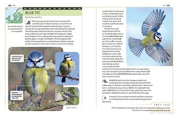 Garden Birds Of Britain Nw Europe - Dominic Couzens [KSIĄŻKA]