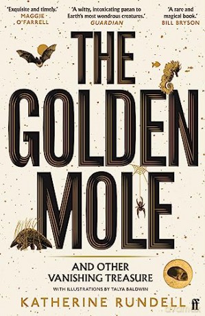 Golden Mole - Katherine Rundell [KSIĄŻKA]