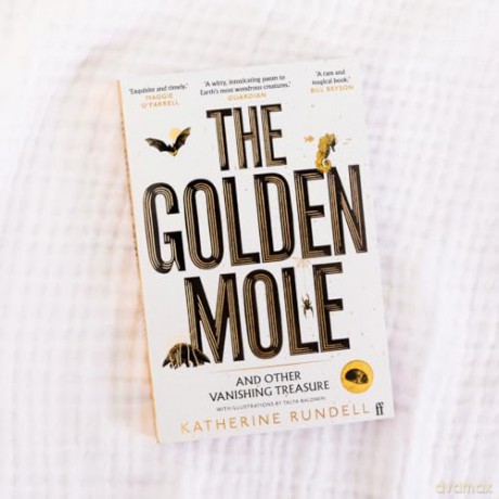 Golden Mole - Katherine Rundell [KSIĄŻKA]