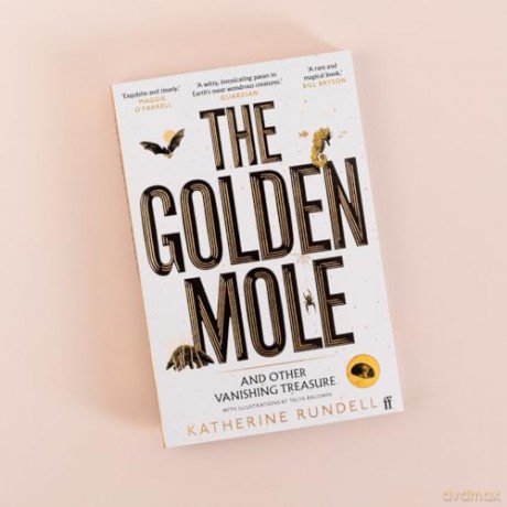 Golden Mole - Katherine Rundell [KSIĄŻKA]