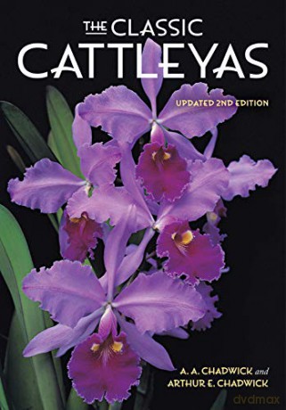 The Classic Cattleyas - Amy B. Gooden [KSIĄŻKA]