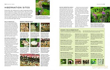 How To Create A Wildlife Garden - Christine A Lavelle [KSIĄŻKA]