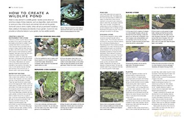 How To Create A Wildlife Garden - Christine A Lavelle [KSIĄŻKA]