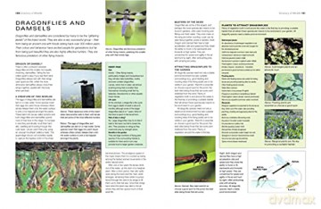 How To Create A Wildlife Garden - Christine A Lavelle [KSIĄŻKA]