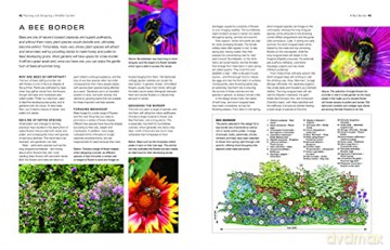 How To Create A Wildlife Garden - Christine A Lavelle [KSIĄŻKA]