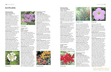 How To Create A Wildlife Garden - Christine A Lavelle [KSIĄŻKA]