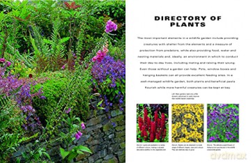 How To Create A Wildlife Garden - Christine A Lavelle [KSIĄŻKA]