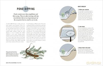 How To Attract Wildlife To Your Garden - Dan Rouse [KSIĄŻKA]