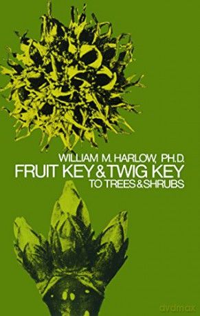 Fruit Key And Twig Key - Harlow [KSIĄŻKA]