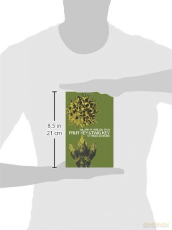 Fruit Key And Twig Key - Harlow [KSIĄŻKA]