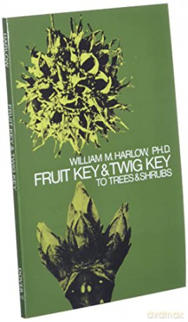 Fruit Key And Twig Key - Harlow [KSIĄŻKA]