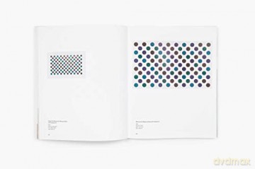 Bridget Riley Past Into Present - Bridget Riley [KSIĄŻKA]