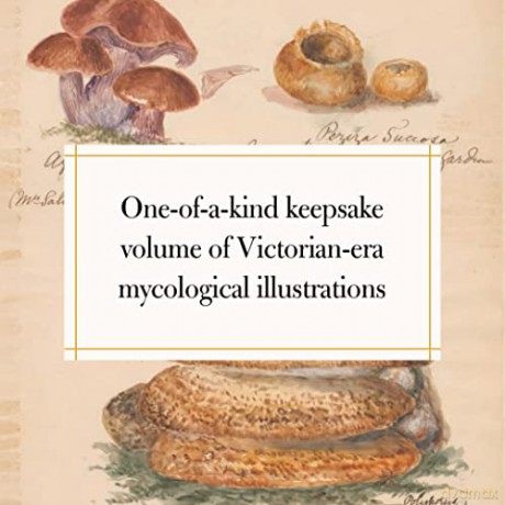 Fungi Collected In Shropshire And O - Lewis M F [KSIĄŻKA]