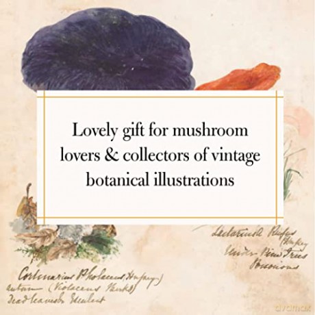 Fungi Collected In Shropshire And O - Lewis M F [KSIĄŻKA]