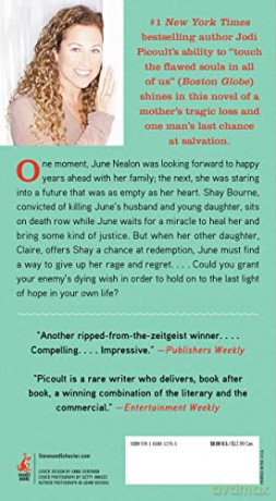 Change Of Heart - Jodi Picoult [KSIĄŻKA]