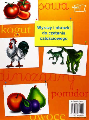 Wyrazy i obrazki do czytania całościowego. [KSIĄŻKA]