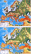 Mapa-Europa. Mapa ogólnogeograficzna/mapa do ćwiczeń [KSIĄŻKA]