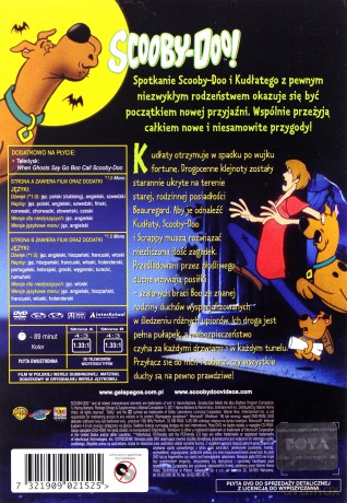 Scooby-Doo spotyka Braci Boo [DVD]