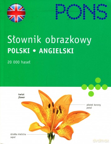 Pons. Słownik obrazkowy. Angielski. [KSIĄŻKA]
