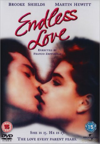 Niekończąca się miłość [DVD]