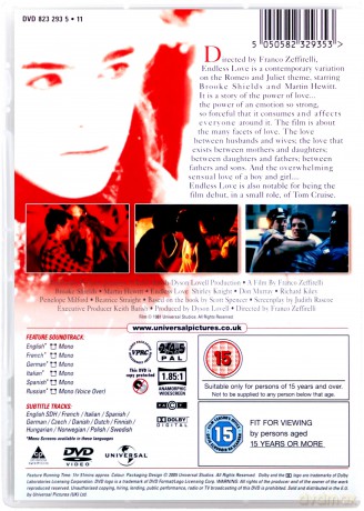 Niekończąca się miłość [DVD]