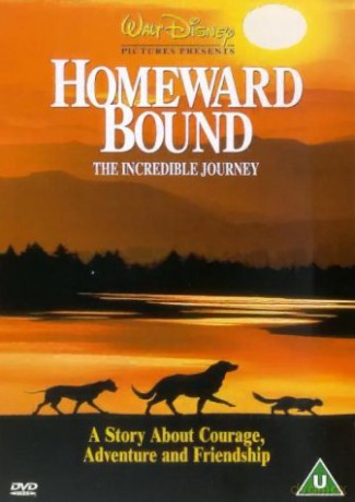 Homeward Bound: The Incredible Journey (Niezwykła podróż) (Disney)[DVD]