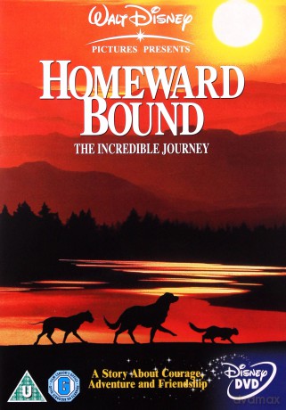 Homeward Bound: The Incredible Journey (Niezwykła podróż) (Disney)[DVD]
