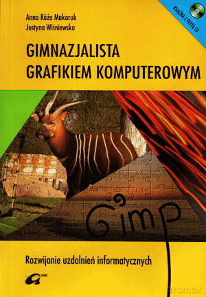 Gimnazjalista grafikiem komputerowym. Rozwijanie uzdolnień informatycznych - Anna Róża Makaruk, Justyna Wiśniewska [KSIĄŻKA]