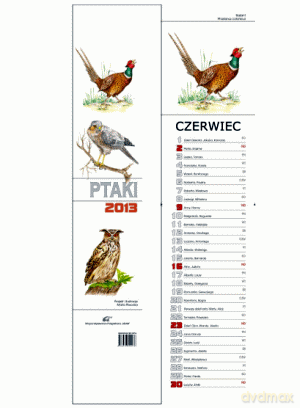 Kalendarz Paskowy Ptaki 2013 [KSIĄŻKA]