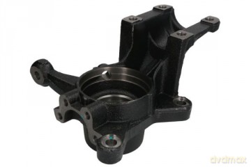 Reinhoch RH08-2003 Sworzeń zwrotnicy, zawieszenie koła Fiat Citroen