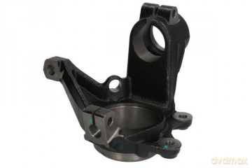 Reinhoch RH08-2029 Sworzeń zwrotnicy, zawieszenie koła Peugeot Citroen