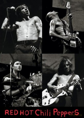 Red Hot Chili Peppers (live) [PLAKAT]