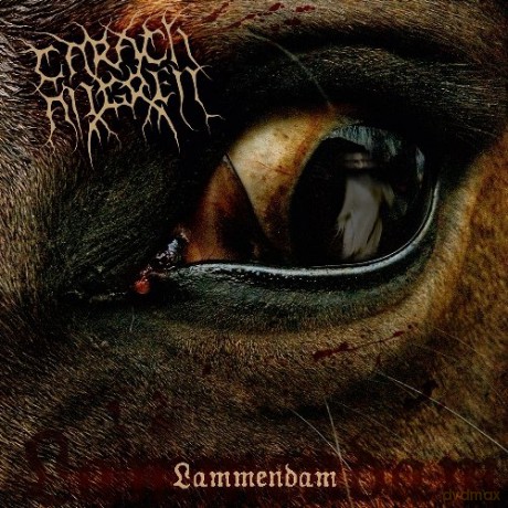 Carach Angren: Lammendam [CD]