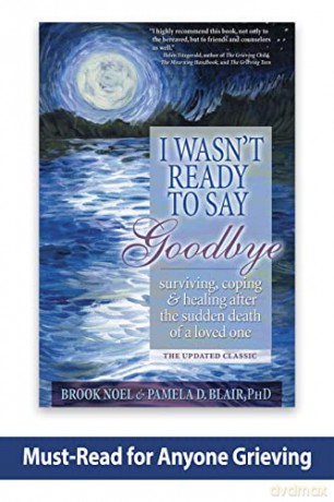 I Wasn't Ready To Say Goodbye - Noel Brook [KSIĄŻKA]