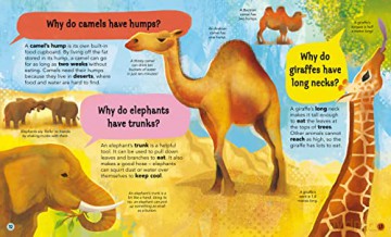 I Wonder Why Camels Have Humps - Anita Ganeri [KSIĄŻKA]