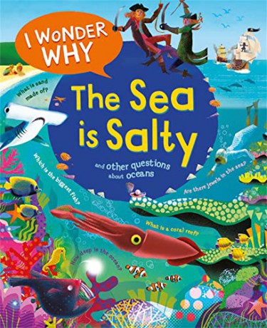I Wonder Why The Sea Is Salty - Anita Ganeri [KSIĄŻKA]