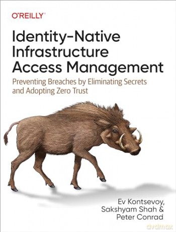 Identity Native Infrastructure Access M [KSIĄŻKA]