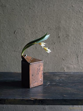 Ikebana The Zen Way Of Flowers - Yuji Ueno [KSIĄŻKA]