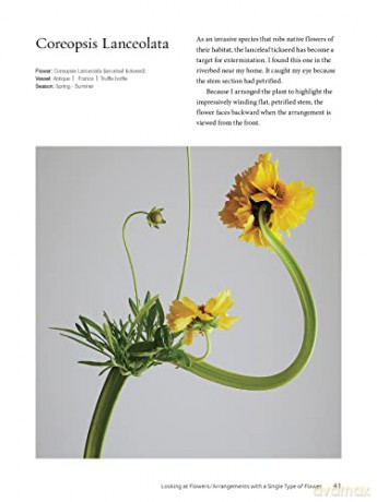 Ikebana The Zen Way Of Flowers - Yuji Ueno [KSIĄŻKA]