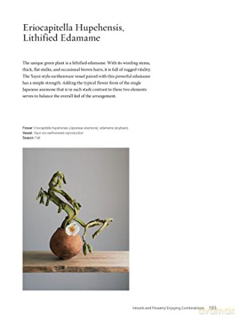 Ikebana The Zen Way Of Flowers - Yuji Ueno [KSIĄŻKA]