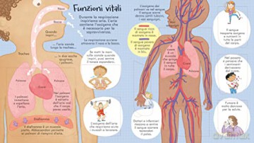 Il Corpo Umano Con Oltre 100 Linguette - Vv Aa [KSIĄŻKA]