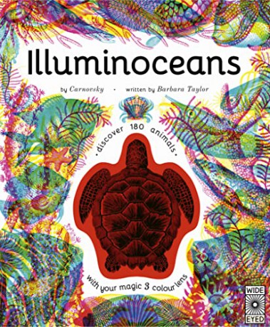 Illuminoceans - Barbara Taylor [KSIĄŻKA]