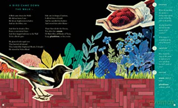 Illustrated Emily Dickinson - Emily Dickinson [KSIĄŻKA]