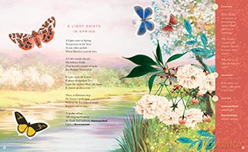 Illustrated Emily Dickinson - Emily Dickinson [KSIĄŻKA]