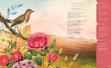 Illustrated Emily Dickinson - Emily Dickinson [KSIĄŻKA]