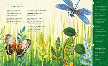 Illustrated Emily Dickinson - Emily Dickinson [KSIĄŻKA]