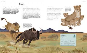 Illustrated Encyclopedia Of Animals - Claudia Martin [KSIĄŻKA]