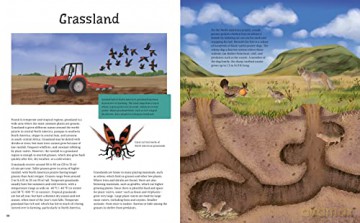 Illustrated Encyclopedia Of Animals - Claudia Martin [KSIĄŻKA]