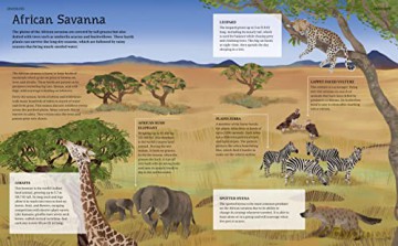 Illustrated Encyclopedia Of Animals - Claudia Martin [KSIĄŻKA]